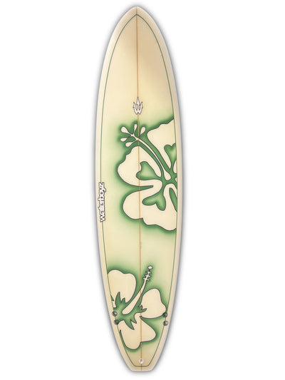 Used 6'9" WBZ Green Flower Funboard