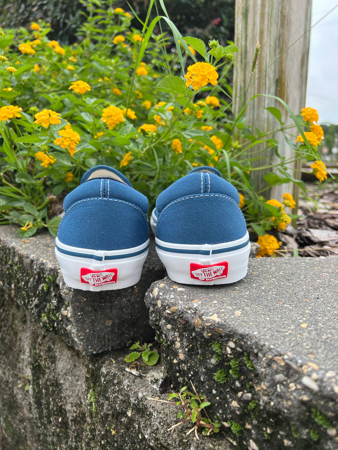Vans Skate Slip-On Navy – Waterboyz
