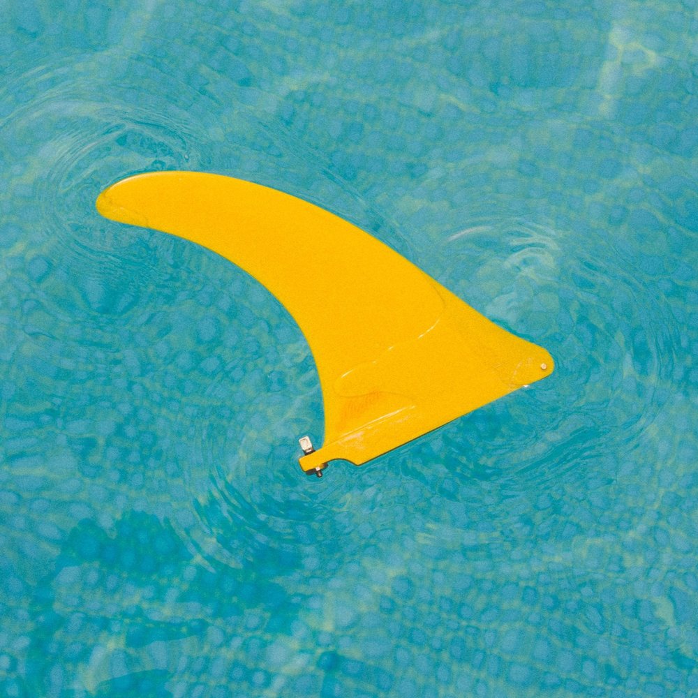 Midfin 9.5" Carribean Queen - Polished Fin