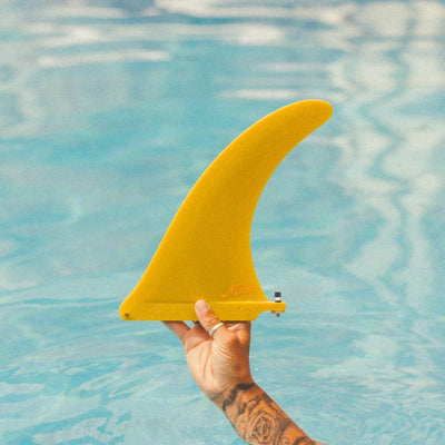 Midfin 9.5" Carribean Queen - Polished Fin